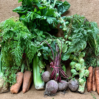 Brooklyn Farm Shop
