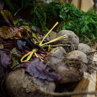 Brooklyn Farm Shop